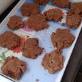 El cooksnap de teresa luzardi cuando hizo Galletitas de Nesquik (cookies de cacao dulce).