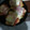 El cooksnap de rosana cuando hizo Pechuga rellena UN MANJAR.