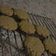 El cooksnap de Vale Stark cuando hizo Galletitas de avena y limón 🍋.