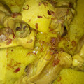 Cooksnap dari tika untuk resep opor ayam