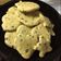 El cooksnap de Janis Larraura cuando hizo Cookies de chispas de chocolate!!!.