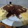El cooksnap de Leticia cuando hizo Torta con 1 Huevo, Fácil y Rica!.