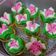 Cooksnap dari Jimmi FX untuk resep Bolu kukus mekar no soda (metode all in)