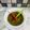 Meerab Rais's cooksnap of when they made Green chutney.