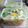 Cooksnap dari Ninik Kitchen untuk resep Sup Salmon