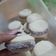 El cooksnap de Meli🤗 cuando hizo Alfajores de Maicena sin Manteca.