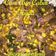 Cooksnap dari Anne Dominic untuk resep 11. Cumi Asin Cabe Ijo