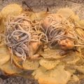 El cooksnap de Alba Moral Velilla cuando hizo Salmón al horno con guarnición de patatas y gulas.