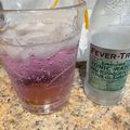 Katatonickat's cooksnap of when they made Gin and Elderflower Marmalade Drink.