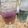 Katatonickat's cooksnap of when they made Gin and Elderflower Marmalade Drink.