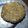 El cooksnap de CAROLINA cuando hizo Hamburguesas de acelga y garbanzos (receta vegana).