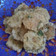 Cooksnap dari Ayu untuk resep Cireng Nasi