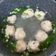 Cooksnap dari Maria Nathasia Sally Darmawan untuk resep Bakwan udang (MPASI 1y+)