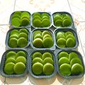 Cooksnap của Thuỷ Vân khi họ làm theo món Bánh Da Lợn