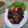 Cooksnap dari zuniatul yuta untuk resep Ayam Panggang Khas Banjar