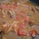Cooksnap dari Wia Affandi untuk resep Tongseng Ayam Pedas