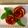 Cooksnap của Anh Le khi họ làm theo món Rose Apple Pie: Bánh táo hoa hồng