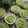 Cooksnap dari Teh Yanithea untuk resep Bolu Green Tea