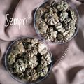 Cooksnap dari SiRa_UmmuTsa untuk resep Choco SKM Cookies (3BahanDoang)