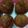 Jyoti Saxena's cooksnap of when they made Bread roll.