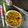 SHYAMALI MUKHERJEE's cooksnap of when they made ছাতুর লুচি ও কড়াইশুঁটির ঘুগনি(Chhatur Luchi & Karaisutir Ghugni recipe in Bengali).