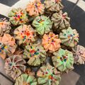 Cooksnap dari citrani ekalamda untuk resep Resep Kue Semprit Susu Super Renyah Cuma 3 Bahan | Kue Kering Lebaran | Kue Kering | Spritz Cookies