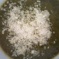 El cooksnap de Monik cuando hizo Crema de zanahorias y acelgas.