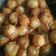 Cooksnap dari BuGuWen untuk resep Cilok isi keju