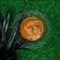 Cooksnap dari Nerissa Arviana untuk resep Ayam rica rica