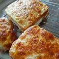 کوک اسنپ nafas cook بعد از امتحان کردن ساندویچ ژامبون و پنیر.
