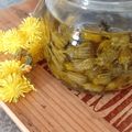 il Maria Cerulli quando ha preparato Boccioli di tarassaco (capperi) sott’olio