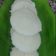 Niyati Mehta's cooksnap of when they made ઈડલી (Idli Recipe In Gujarati).