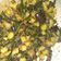 Cooksnap dari Rifaldi Rpd untuk resep Balado Kentang Tempe Kacang Panjang