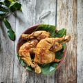 Cooksnap dari Lady Nafaz untuk resep Ayam Ungkep HydroCoco (Kalasan)