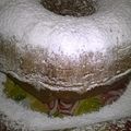 Cooksnap από Xara Antonis στη συνταγή Κέικ με ελαιόλαδο !!!