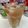 Δέσποινα Καρπούζα's cooksnap of when they made Iced tea.