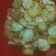 Cooksnap dari Anggraeny Yulandari untuk resep Seblak kering pedas