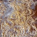 El cooksnap de Lucia. cuando hizo Fideos caseros🍝🍝🍝😋 espero les gusten 😘.
