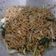 Cooksnap dari Wahyu Cakradiningkrat untuk resep Mie Goreng Jawa