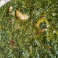 Cooksnap dari Yuni Dwi Lestari untuk resep Gulai daun singkong/daun ubi tumbuk🍀