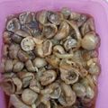 Cooksnap dari Eka Putri untuk resep Jamur Kancing + Bakso Saus Lada Hitam