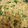Mk Mahwish's cooksnap of when they made Anda ghotala.