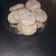 El cooksnap de Romina Sarracino cuando hizo Galletas de Limón 😍👌.