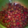 heidi.vermace.7's cooksnap of when they made glitter grapes.