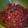 heidi.vermace.7's cooksnap of when they made glitter grapes.