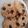 El cooksnap de Thalia Delgado cuando hizo Galletas de avena.