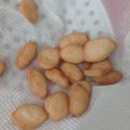 Cooksnap dari endah sarwotiti untuk resep Biji ketapang (tanpa santan)
