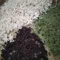 Cooksnap dari dapoer_pemula untuk resep Terang bulan teflon (eggless)