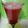 Mk Mahwish's cooksnap of when they made Water  melon juice.