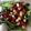 El cooksnap de astrid badia cuando hizo Ensalada de Fresas con daditos de Queso.